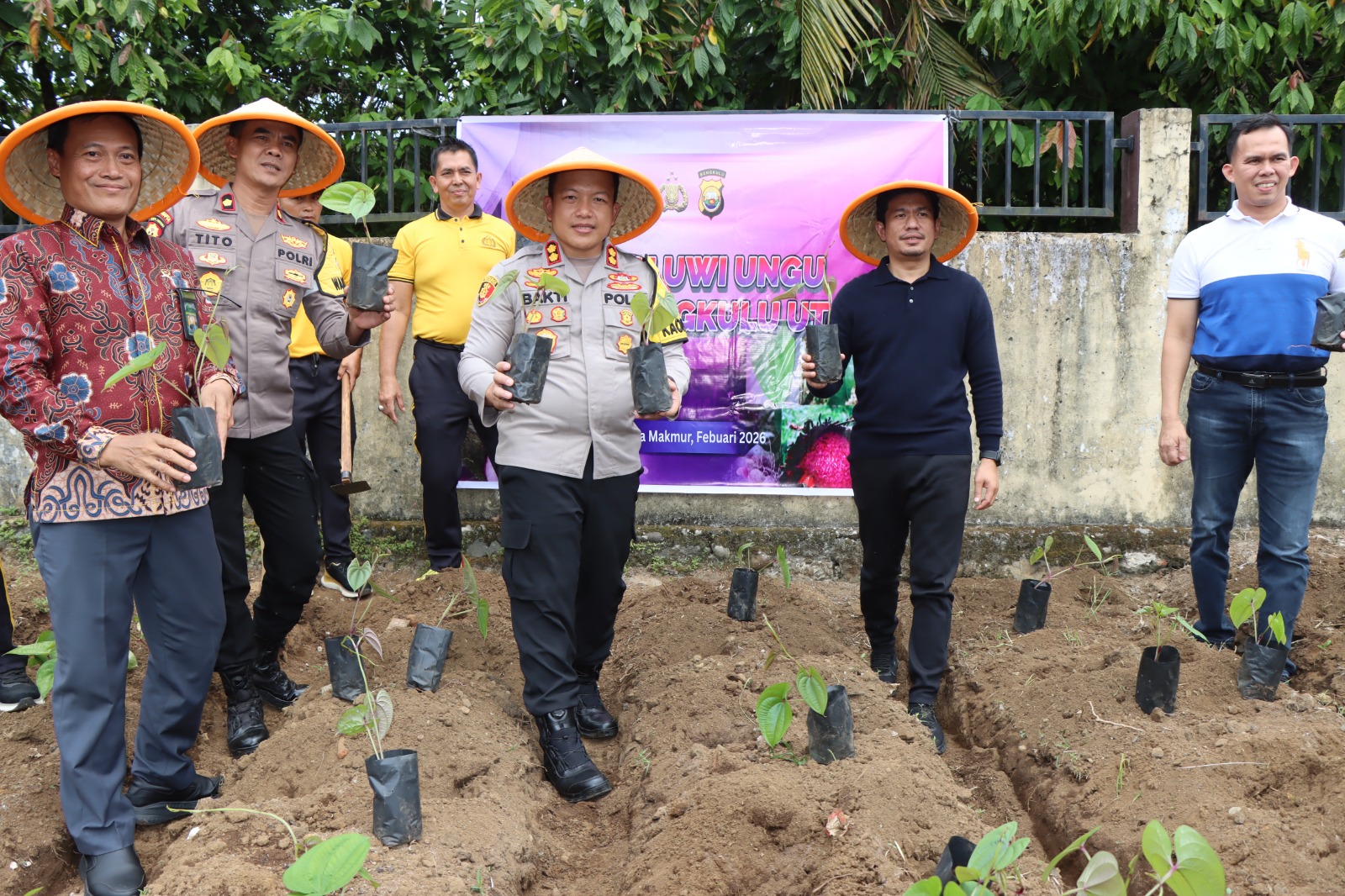 Sinergi Hijau di Halaman Asrama: Menanam Uwi Ungu, Menuai Ketahanan Pangan
